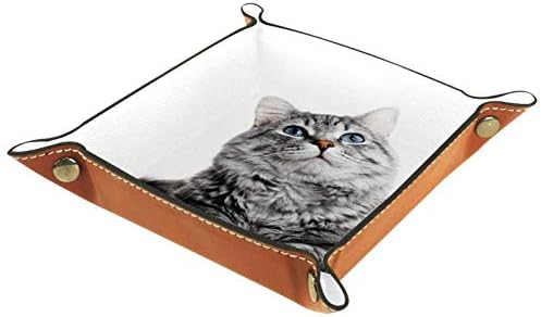 אייסו שרות מגש בריטי קצר שיער חתול הדפסת עור תכשיטי מגשי ארגונית תיבת עבור ארנקים, שעונים, מפתחות, מטבעות,