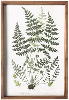 הדפסים צמחיים בוטניים של ניקי ממוסגרים - 20 x 14 תמונות של שרך עיצוב קיר אמנות - מראה וינטג 'עם מסגרות